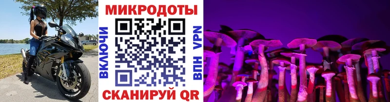 Галлюциногенные грибы ЛСД  Лесной 