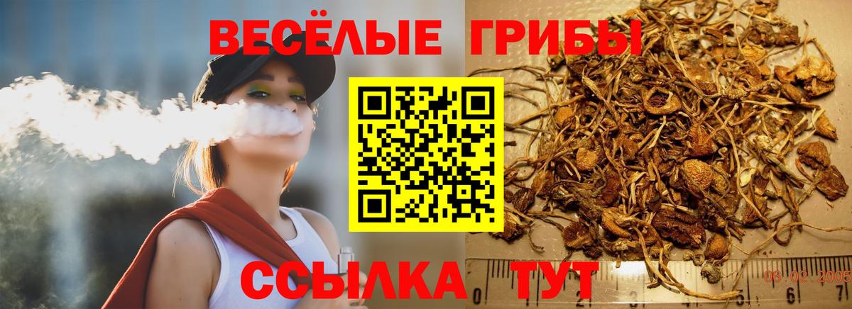 Лесной  Галлюциногенные грибы Cubensis  Вход с VPN 