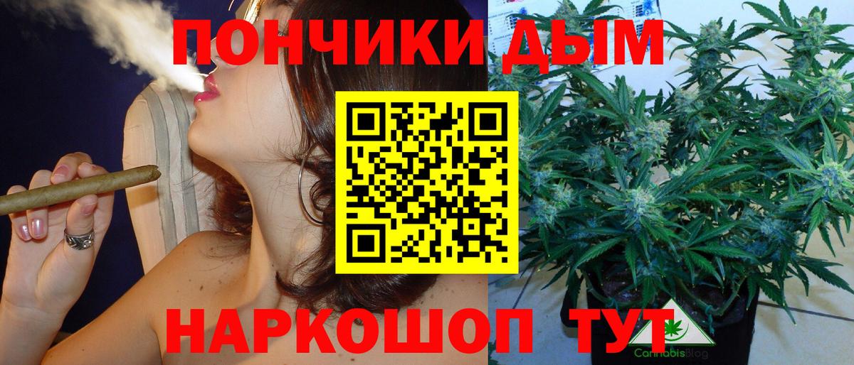 Конопля планчик Лесной